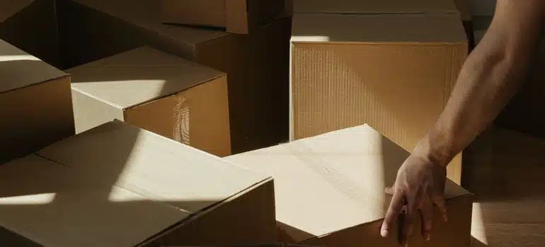 cardboard boxes
