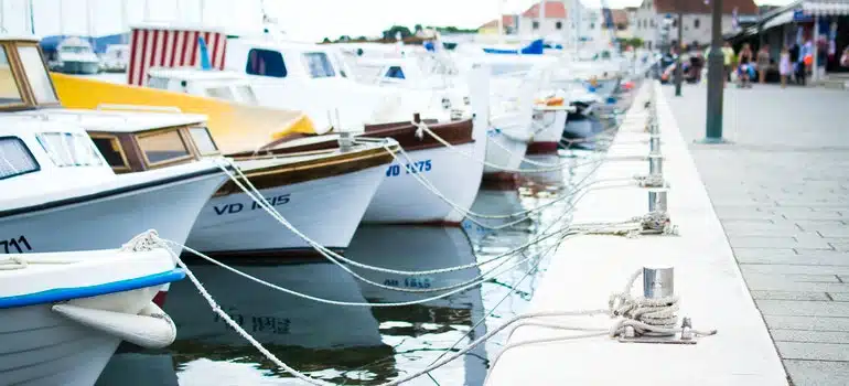 boats in the water
