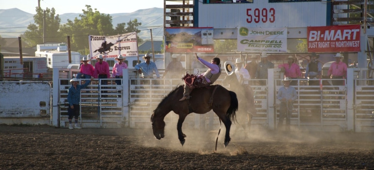 a picture of a man in the middle of rodeo riding