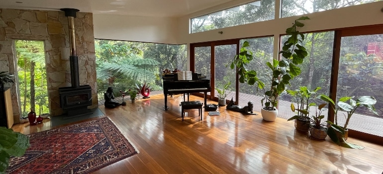 Green potted plants near a piano, on brown wooden floor - How to compare piano moving quotes.