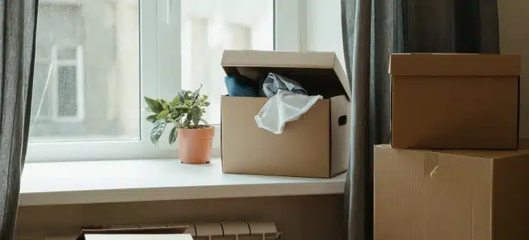A box next to the window